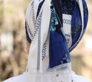 דגם רקיע